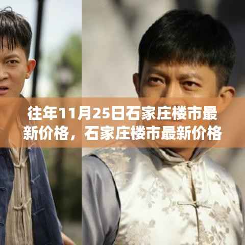 石家庄楼市最新价格动态分析,以11月25日观察点看市场趋势