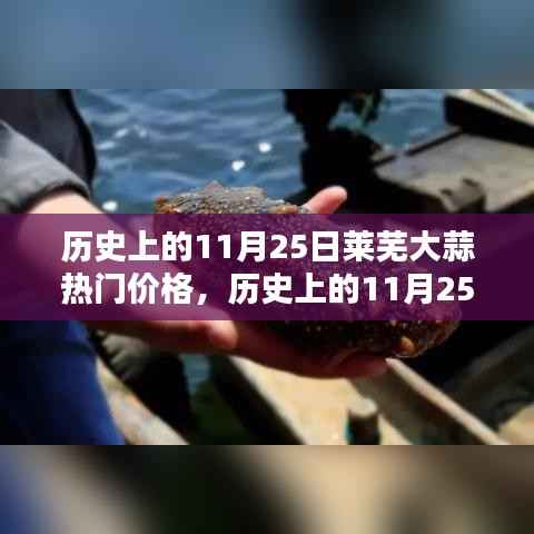 历史上的11月25日莱芜大蒜价格概览与走势分析