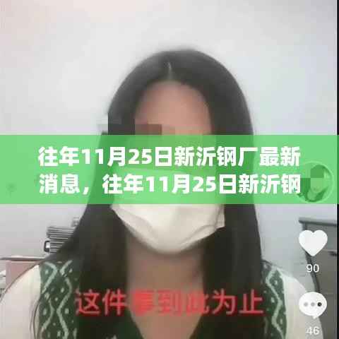 往年11月25日新沂钢厂最新动态,深度解读与观点阐述
