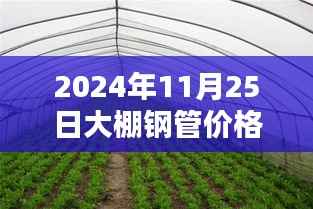 2024年11月25日大棚钢管价格行情及分析
