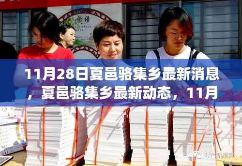 夏邑骆集乡最新动态深度观察与影响报道(11月28日更新)