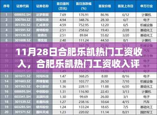 合肥乐凯热门工资收入详解,特性、体验、竞品对比及目标用户分析评测报告