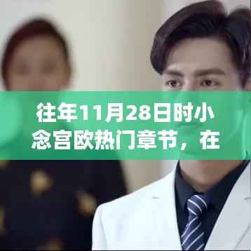 往年11月28日小念宫欧的励志转变与知识海洋中的乘风破浪故事