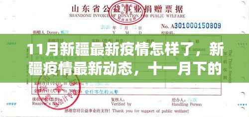 新疆疫情深度观察,最新动态与深度分析(十一月下)