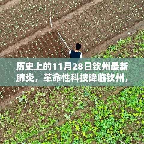 历史上的11月28日钦州最新肺炎科技革新全景体验,革命性科技降临与全景体验