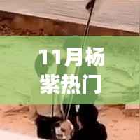 杨紫甜蜜吻戏背后的自然之旅,寻找心灵的宁静与平和