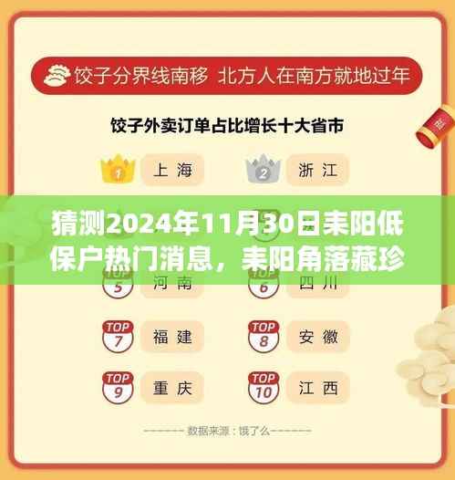 耒阳低保户角落藏珍,2024年11月30日热门话题揭秘
