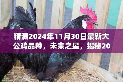 揭秘未来之星,2024年大公鸡新品种展望与自信塑造之路