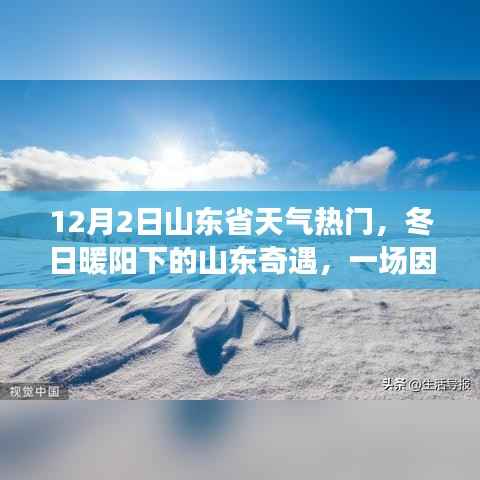 山东冬日暖阳下的奇遇,天气热门引发的欢乐聚会