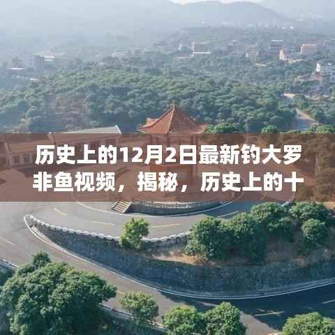 揭秘钓大罗非鱼新技巧,最新视频分享,历史上的十二月二日探寻之旅