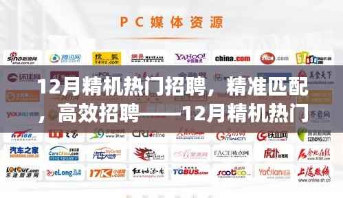 12月精机热门招聘系统深度评测,精准匹配与高效招聘
