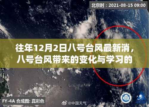 八号台风带来的变化与启示,学习、自信与成就感的源泉