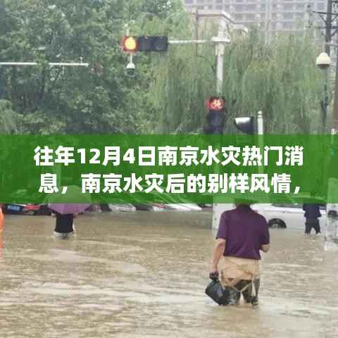 南京水灾后的别样风情,寻找内心平静的旅程之旅