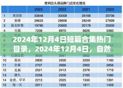自然美景探索之旅,启程寻找内心的宁静与平和——热门短篇合集目录(2024年12月4日)