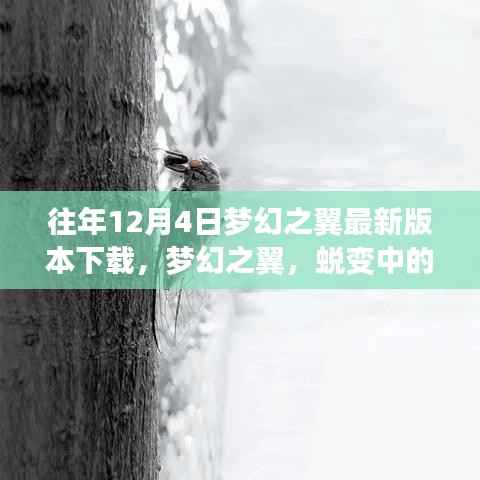 梦幻之翼,蜕变翅膀展翅翱翔,学习之光照亮蓝天最新下载