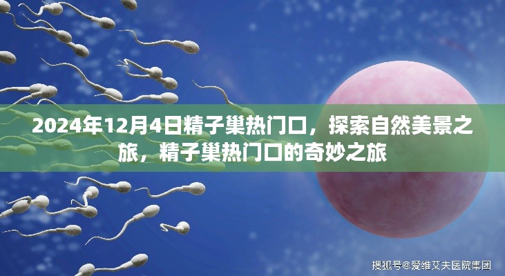 探索自然美景之旅,精子巢热门口的奇妙探索之旅(2024年)