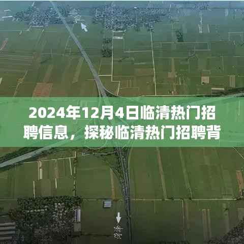 临清热门招聘探秘,特色小店背后的职场机遇与故事(2024年12月4日)