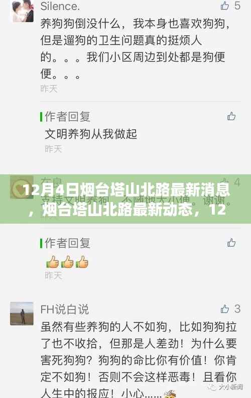 烟台塔山北路施工进展详解与居民指南,最新动态及施工进展报告(12月4日)