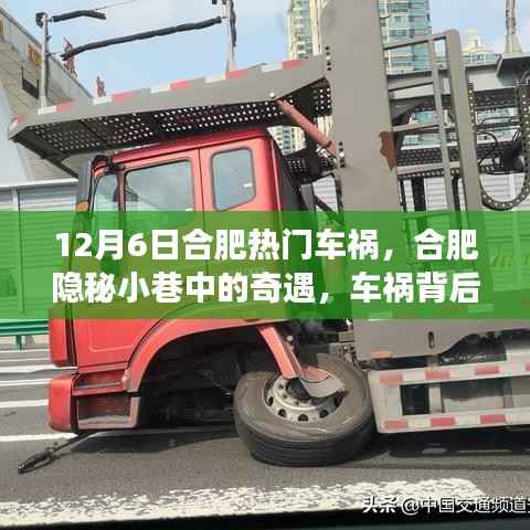 合肥车祸背后的故事,小巷奇遇与特色小店的魅力