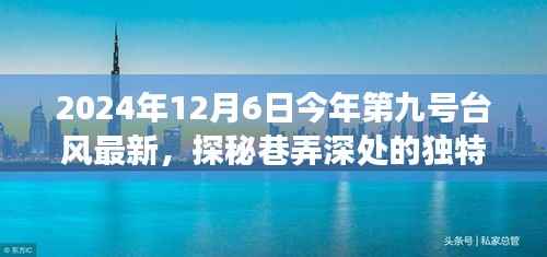 台风九号下的美食秘境,探寻巷弄深处的独特风味