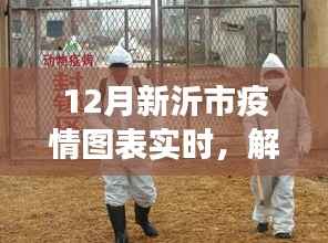 新沂市十二月疫情实时图表动态,洞悉防控进展与进展数据解读
