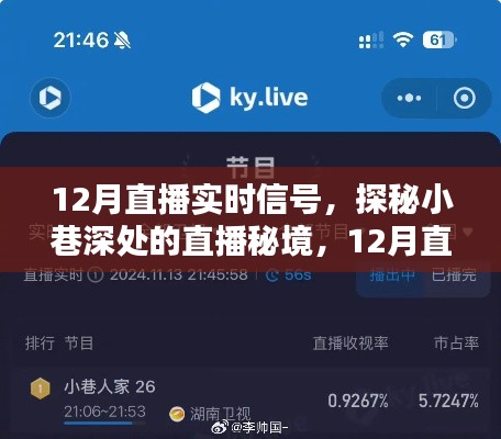 探秘小巷深处的直播秘境,揭秘十二月直播实时信号的独特魅力