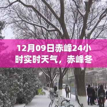 赤峰冬日暖心聚会,实时天气下的奇遇日