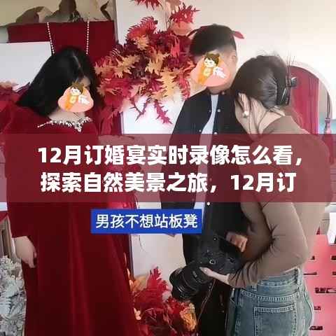 探索自然美景之旅,揭秘12月订婚宴实时录像的独特纪念价值