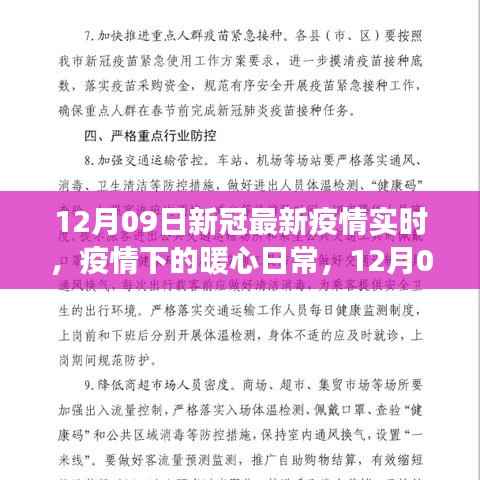 12月09日新冠最新疫情实时,阳光下的希望之旅与暖心日常