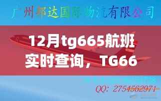 TG665航班12月实时查询,飞行轨迹与时代印记的交织