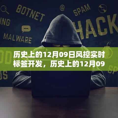 历史上的12月09日风控实时标签开发详解与步骤