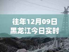 黑龙江疫情下的自然探索之旅,冬日秘境中的心灵宁静之旅