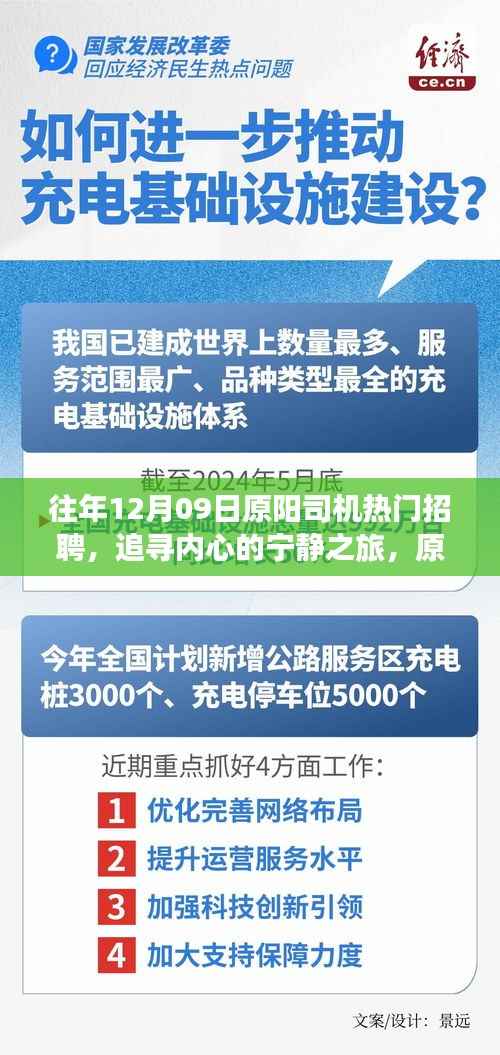 原阳司机招聘热潮背后的美景探索与心灵宁静之旅揭秘