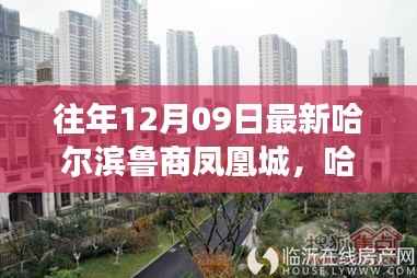 哈尔滨鲁商凤凰城,趣事时光温馨日常回顾