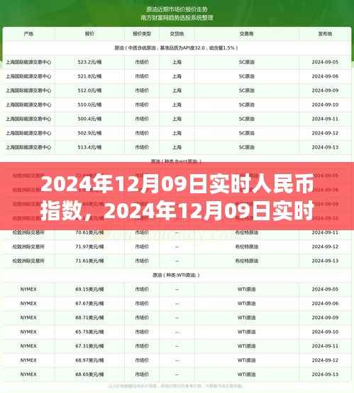 洞悉未来货币走向的关键指标,揭秘实时人民币指数在2024年12月09日的动态