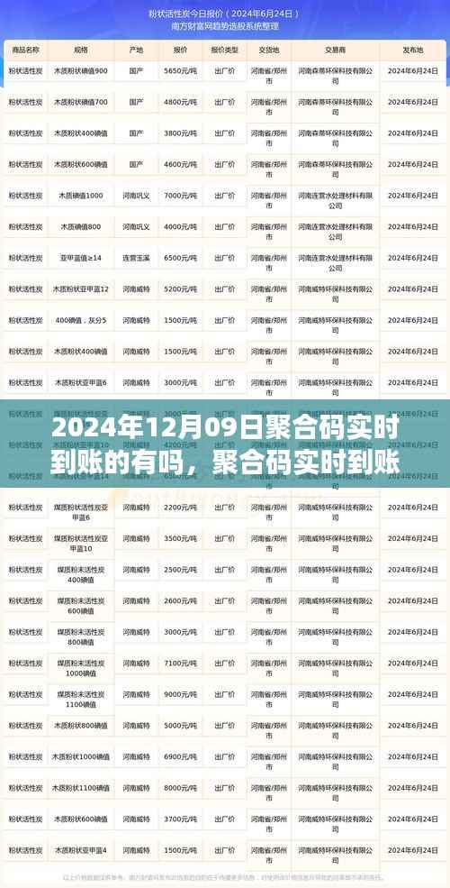 2024年聚合码实时到账可行性探讨,以观察日12月09日为切入点