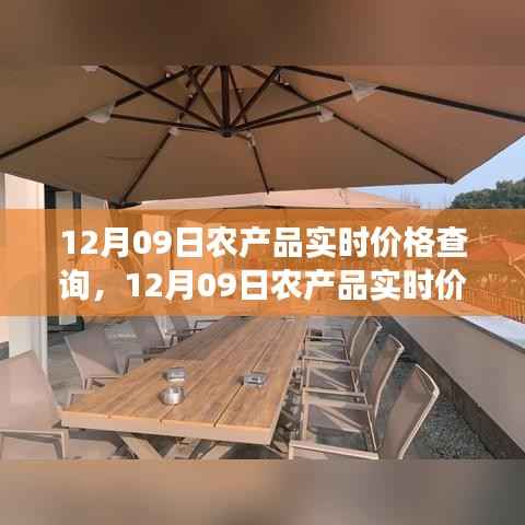 12月09日农产品实时价格查询与自然美景的治愈之旅结合体验报告