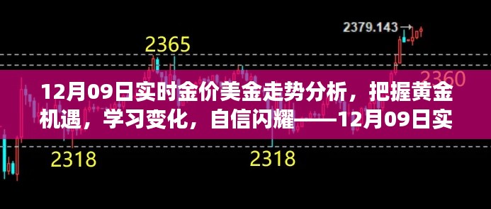 12月09日黄金美金走势解析,洞悉市场变化,把握黄金投资机遇