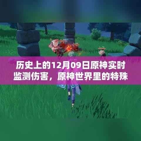 原神世界里的特殊日子,12月09日的伤害监测与友情魔法之旅
