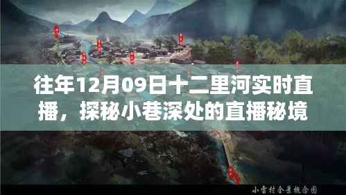 探秘十二里河直播秘境,实时直播特色小店的日常