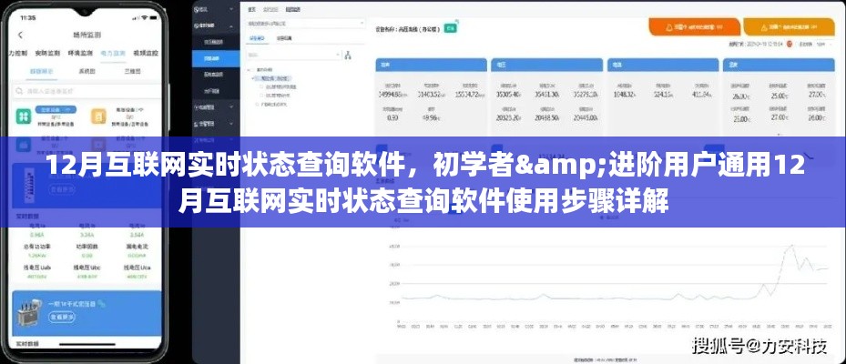初学者与进阶用户通用,12月互联网实时状态查询软件使用详解与指南