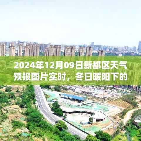 冬日暖阳下的新都奇遇,天气预报引发的友情之旅(附实时天气预报图片)