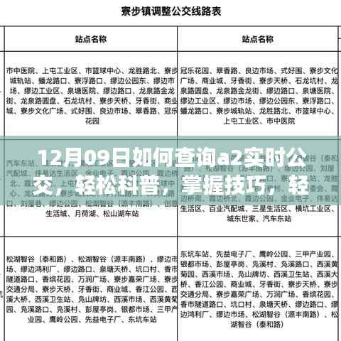 轻松科普,掌握技巧,查询A2实时公交信息——以12月09日为例