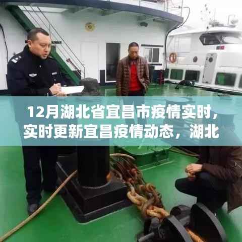 湖北省宜昌市疫情实时动态更新与防控进展报告