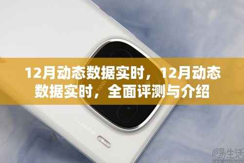 实时掌握,全面评测与介绍12月动态数据