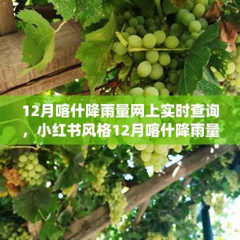 小红书风格,12月喀什降雨量实时查询指南,掌握天气变化,无忧出行