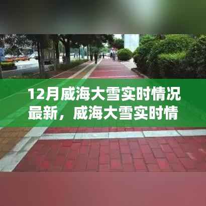 威海大雪实时情况及应对冬季大雪天气的指南