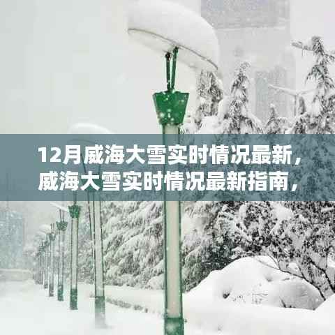 威海大雪实时情况及应对冬季大雪天气的指南