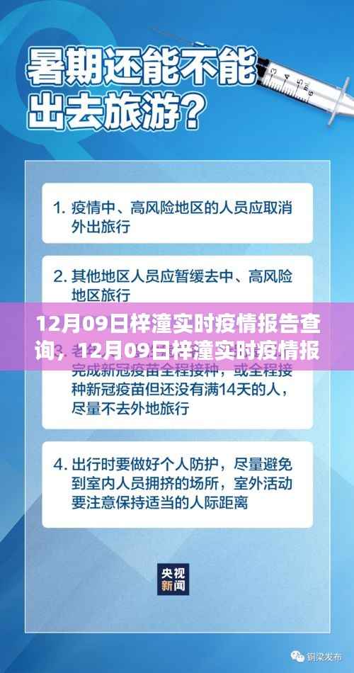 12月09日梓潼实时疫情报告查询,步骤指南与最新信息