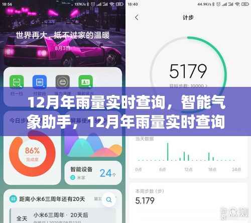 智能气象助手,实时查询12月年雨量,科技重塑生活体验